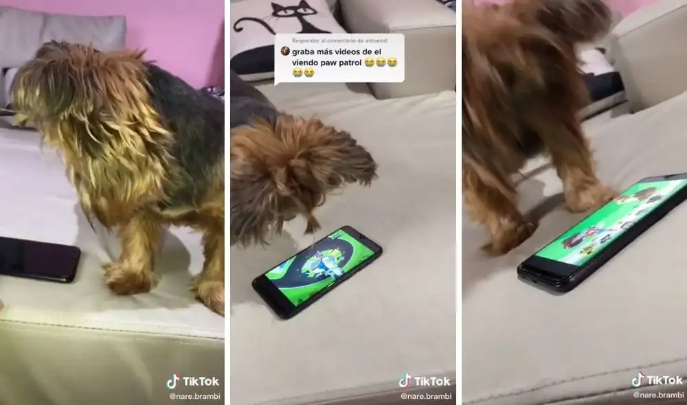 Como si fuera una infante emocionada, así se pone cuando ve la serie. Foto: captura de TikTok / @nare.brambi