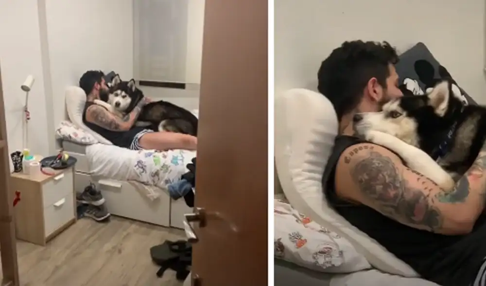 Miles de usuarios se conmovieron al ver las escenas. Foto: captura de Facebook