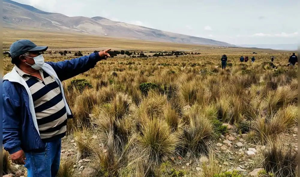Este lugar sería el tercer gran bosque de queñuales en Arequipa. Foto: Municipaldiad de Yanahuara. Este lugar sería el tercer gran bosque de queñuales en Arequipa. Foto: Municipaldiad de Yanahuara.