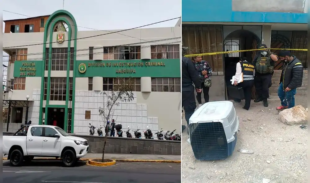 Menor fue mordido por perros tras ser dejado solo en su casa. Foto: La República