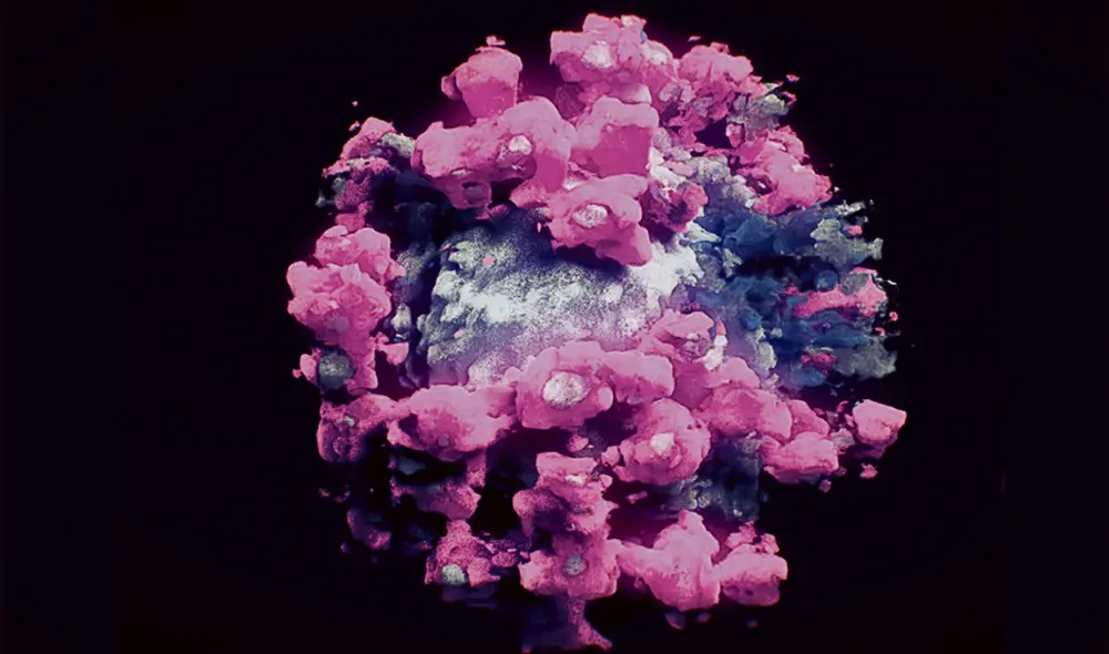 Avance. Imagen real del SARS-CoV-2 en tres dimensiones. Foto: EFE Avance. Imagen real del SARS-CoV-2 en tres dimensiones. Foto: EFE