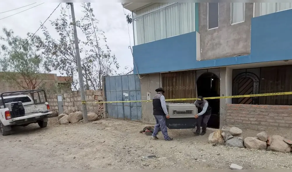 Canes actualmente se encuentran en cuarentena hasta el día que serán sacrificados. Foto: Abad Ventura/La República