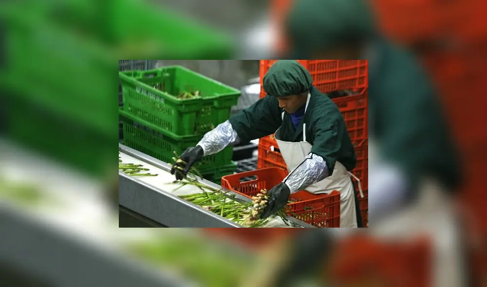 Ley agraria. Fuente: Internet Ley agraria. Fuente: Internet