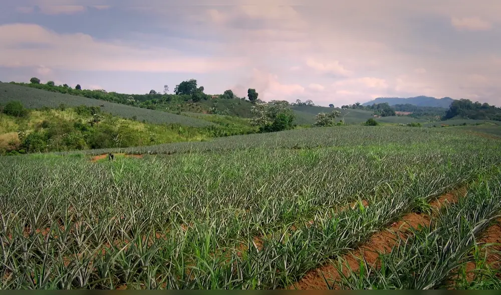 Historias ya están disponibles en las redes sociales. Foto: Mamut Art