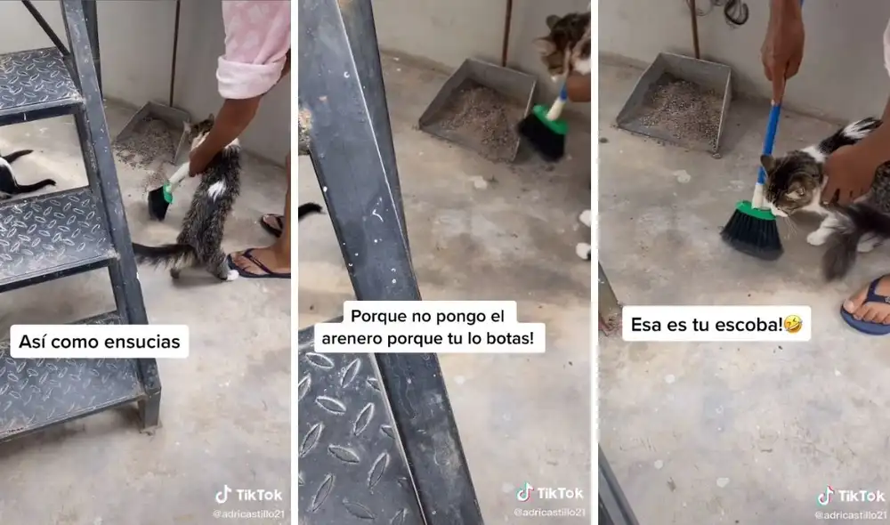 La graciosa 'lección' de la señora a su gata, de una madre a otra. Foto. captura de TikTok / @adricastillo21