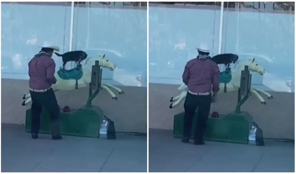 El cachorro la pasó bien montando al equino. Foto: captura de TikTok