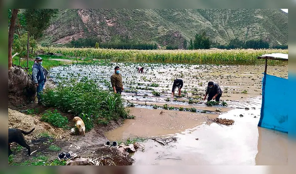 Desborde afectó en el sector de Chaca - Qepa de la comunidad campesina de Qoya Qosqo.