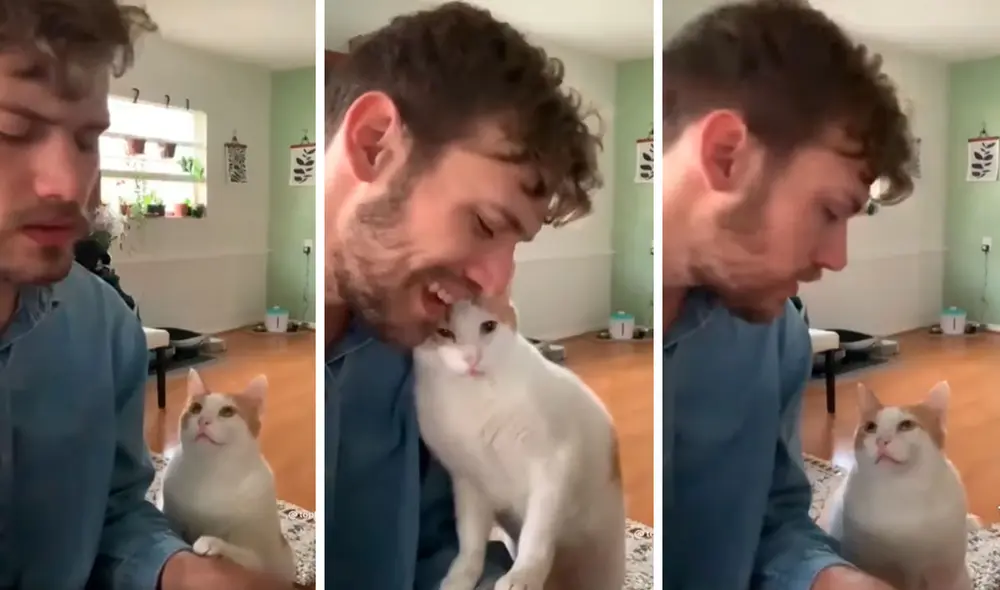 Un gato estuvo atento al improvisado espectáculo de canto que hizo su dueño en el interior de su casa. Foto: captura de TikTok