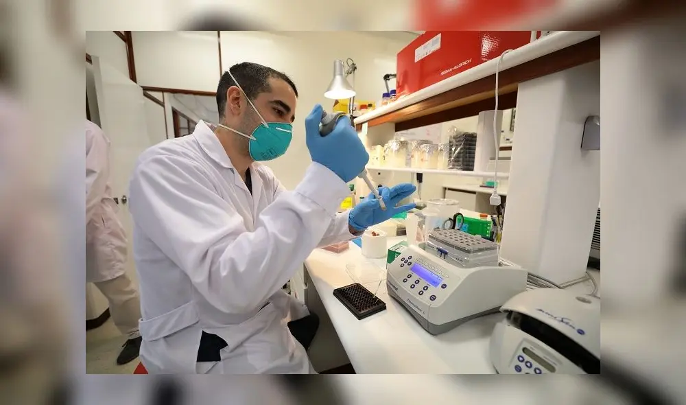 Equipo de UPCH entra a la última fase de su proyecto. (Foto: Andina/difusión)