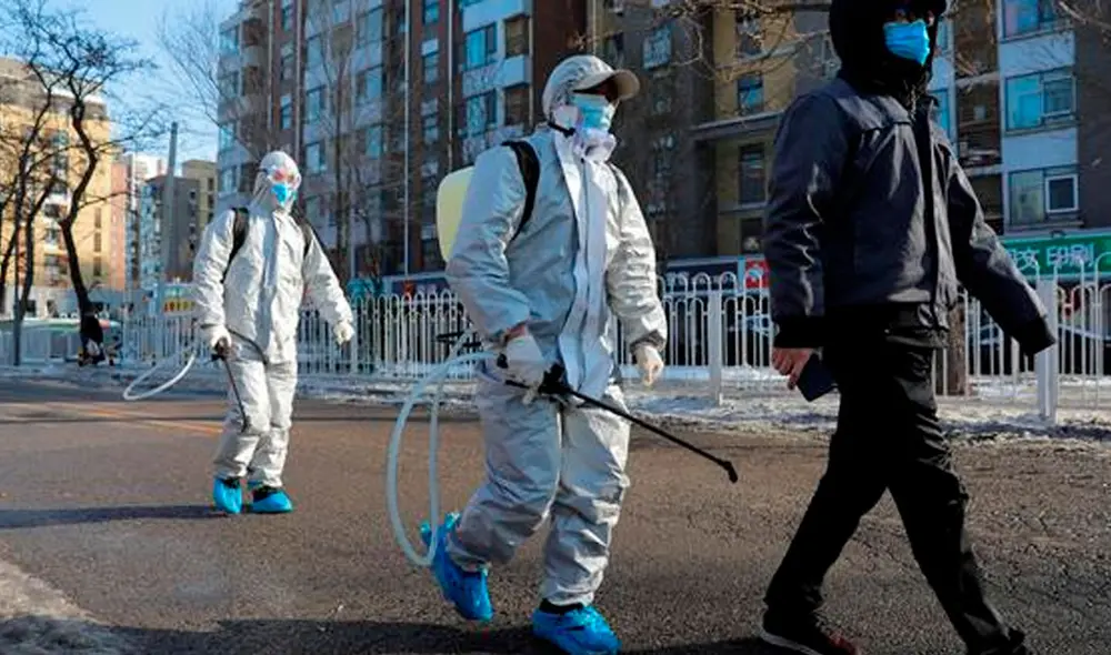 La gran mayoría de la comunidad científica internacional coincide en que lo más probable es que el virus llegase al ser humano desde la naturaleza, no desde un laboratorio. Foto: EFE