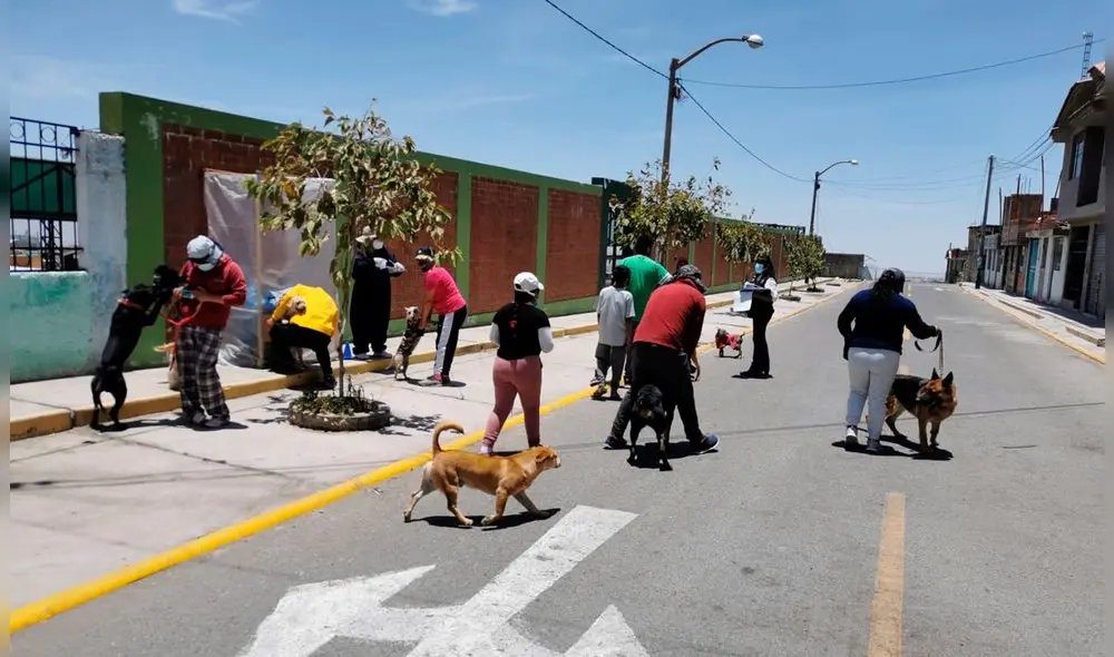 Promoverán campañas de vacunación en distritos con más casos de rabia. Foto: Geresa Promoverán campañas de vacunación en distritos con más casos de rabia. Foto: Geresa