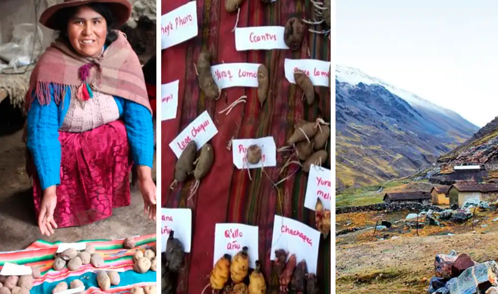 Reconocimiento fue realizada por el Ministerio de Desarrollo Agrario y Riego. Foto: difusión Reconocimiento fue realizada por el Ministerio de Desarrollo Agrario y Riego. Foto: difusión