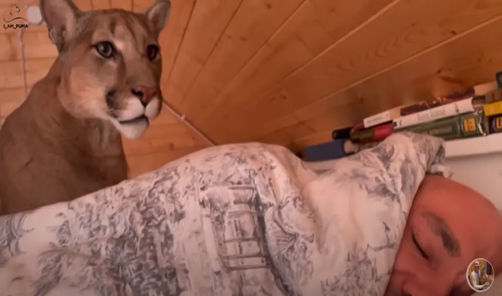 El video viral ha sido compartido en el canal I_am_puma. Foto: captura de YouTube