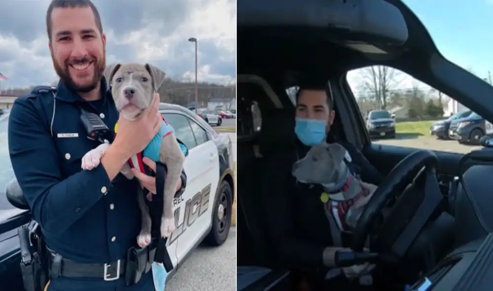 El pequeño Thor ahora cuenta con un nuevo hogar gracias al noble policía. Foto: Mount Laurel Police Department / Facebook