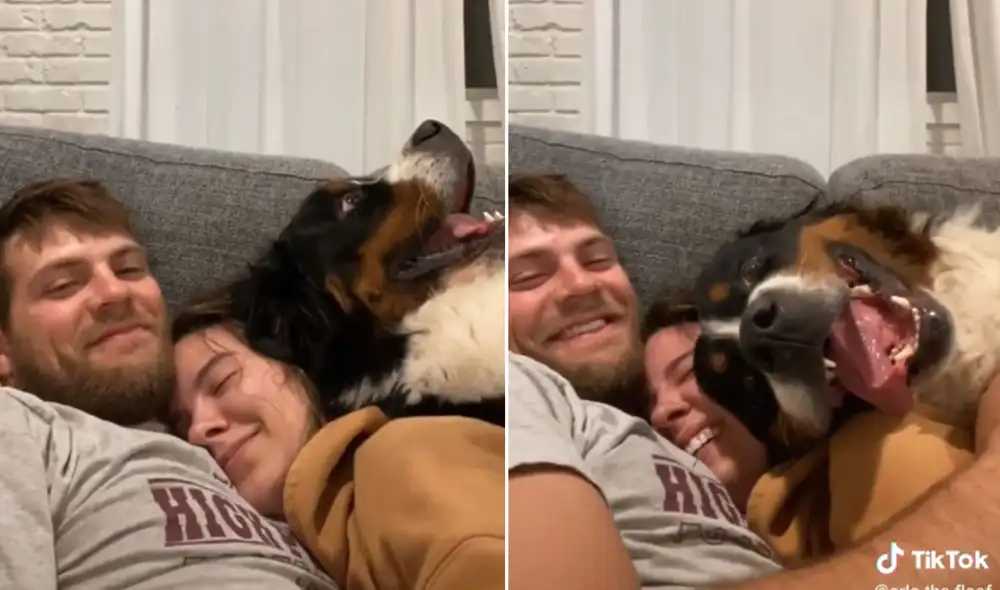 El can se apoderó del espacio de sus amos e hizo de todo para acurrucarse junto a ellos. Foto: captura de TikTok