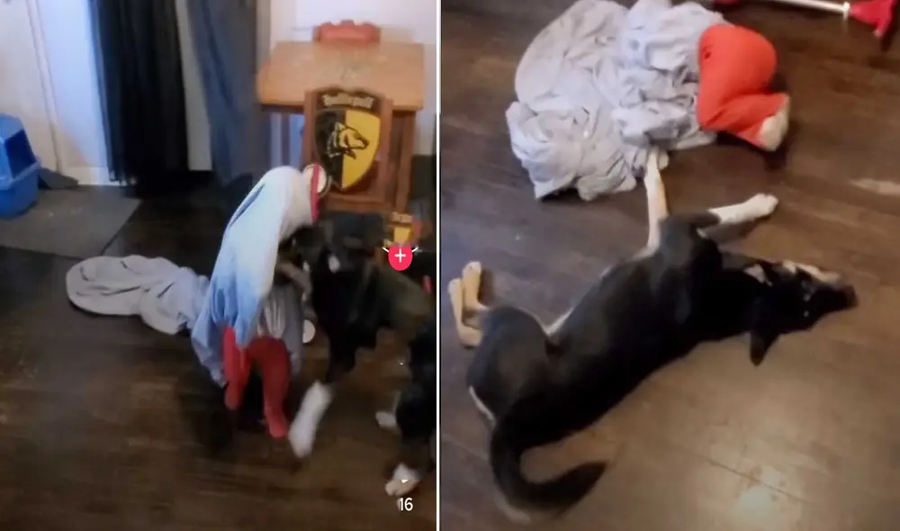 El video emocionó a miles de usuarios de la plataforma. Foto: captura de Facebook.