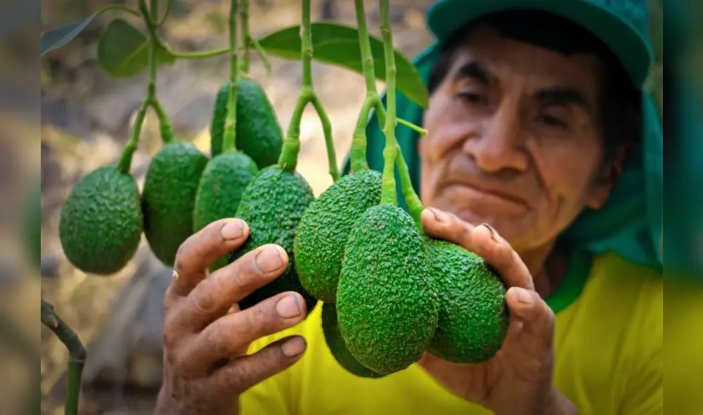 Estos trabajos forman parte de la Estrategia de Desarrollo Vraem 2021. Foto: Devida