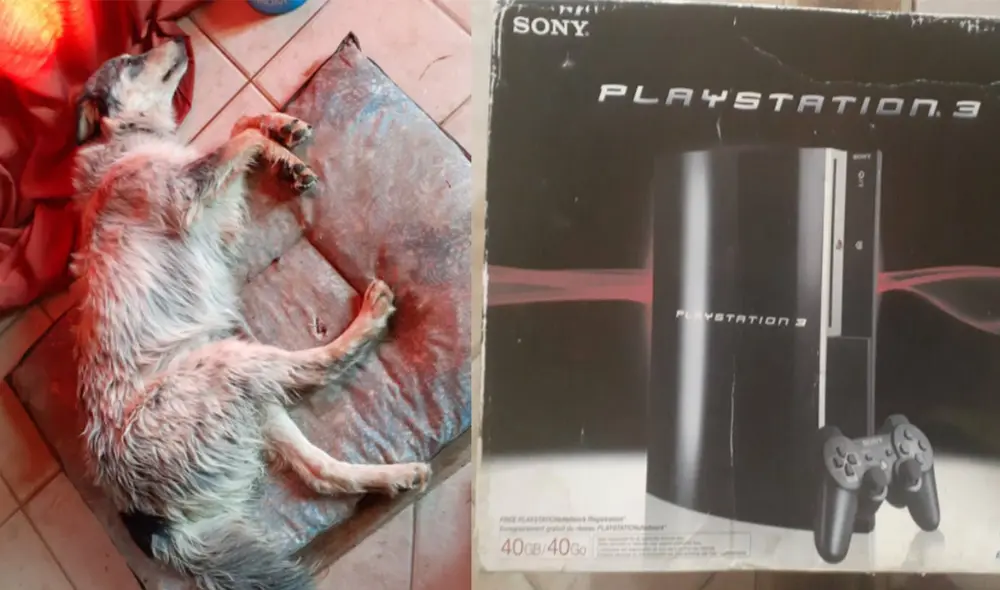 Gracias al apoyo de decenas de personas, Matías pudo conseguir el dinero para intervenir a tiempo a su cachorra. Foto: Matii Astroza / Facebook Gracias al apoyo de decenas de personas, Matías pudo conseguir el dinero para intervenir a tiempo a su cachorra. Foto: Matii Astroza / Facebook