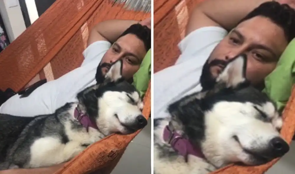 El hombre y el cachorro se convirtieron en compañeros inseparables. Foto: captura de TikTok.