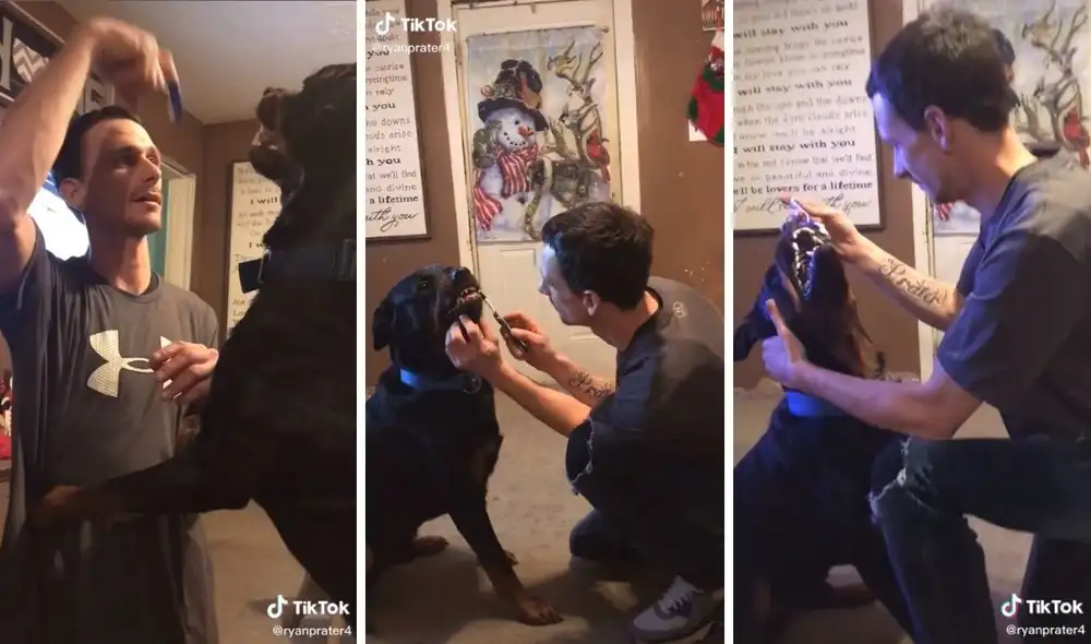 El dueño mantuvo la calma en todo momento. Foto: captura de TikTok / @
ryanprater4