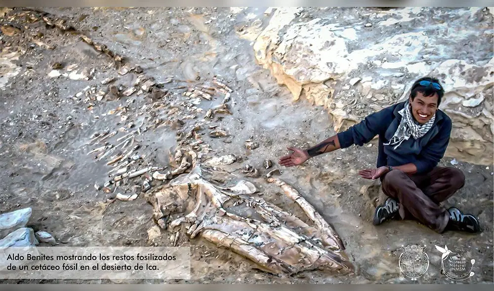 Hallazgo fue presentado en revista científica. Foto: UNMSM Hallazgo fue presentado en revista científica. Foto: UNMSM