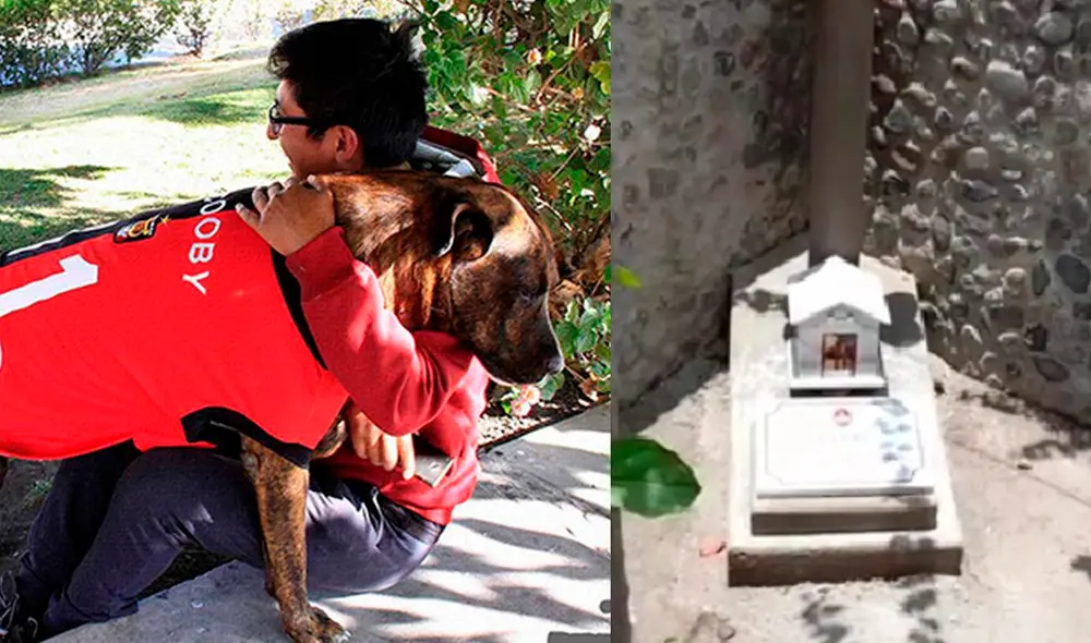 Scooby comenzó a destacar en Arequipa por sus apariciones en manifestaciones. Foto: UNSA