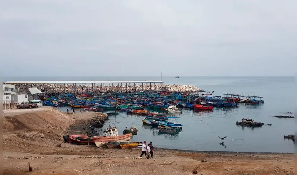 Al desembarcadero llegan alrededor de 800 pescadores artesanales. Foto: La República Al desembarcadero llegan alrededor de 800 pescadores artesanales. Foto: La República