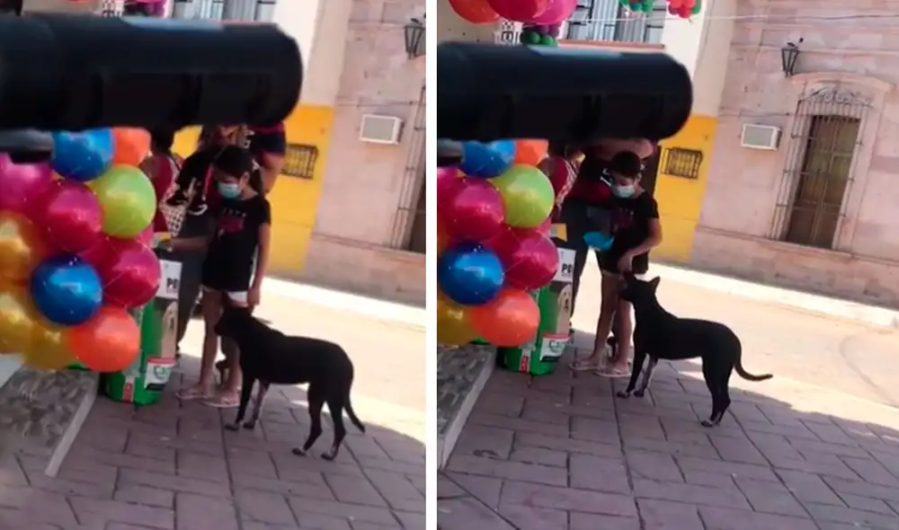 Una pequeña notó la distracción de un vendedor y agarró un poco de croquetas para dárselo a un indefenso perro. Foto: captura de Facebook Una pequeña notó la distracción de un vendedor y agarró un poco de croquetas para dárselo a un indefenso perro. Foto: captura de Facebook