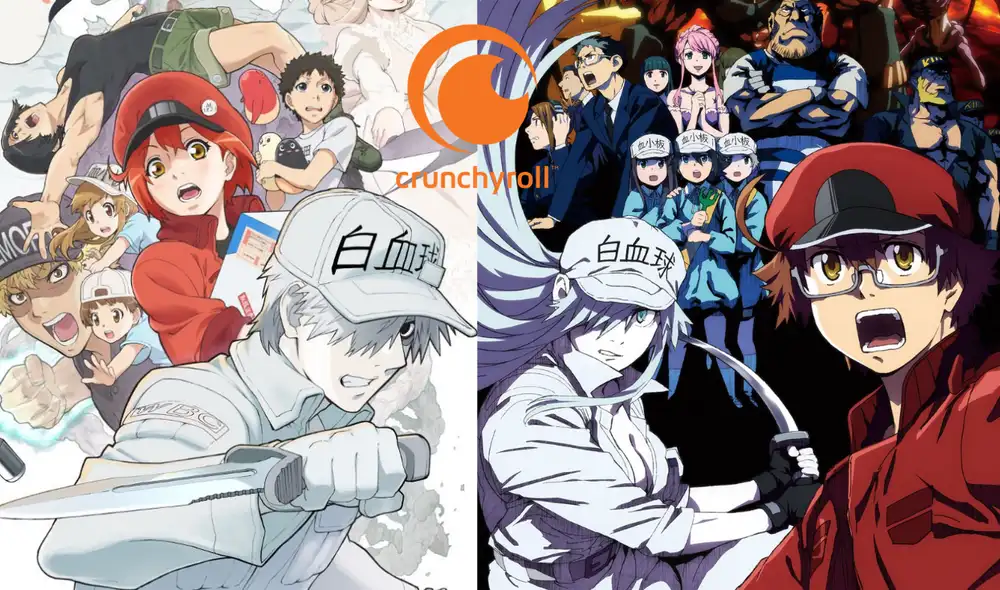 Muy pronto Hataraku Saibou y su spin-off llega de manera oficial. Foto: Crunchyroll Muy pronto Hataraku Saibou y su spin-off llega de manera oficial. Foto: Crunchyroll
