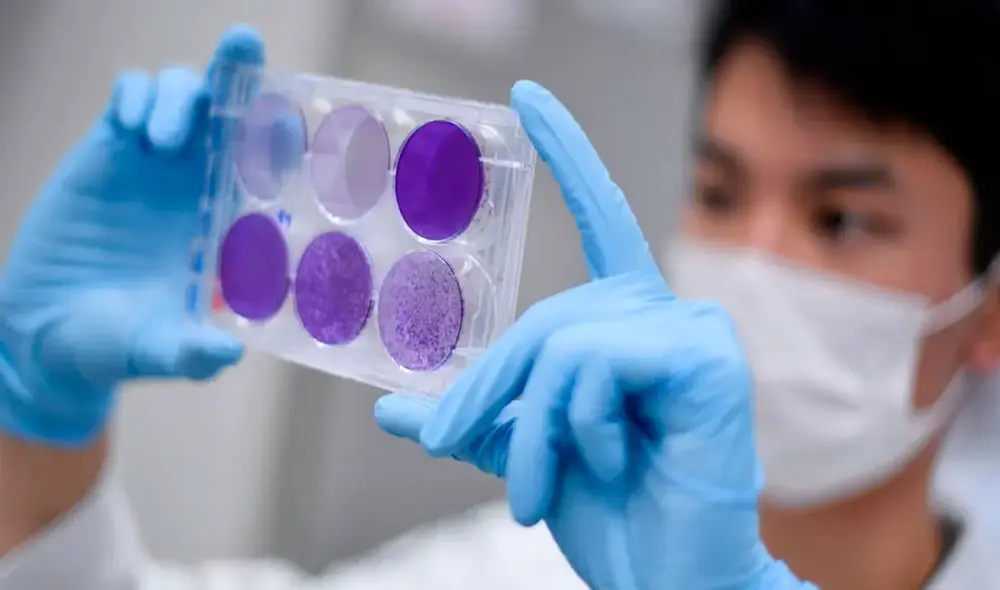 Científico con muestras de coronavirus. Foto: AFP Científico con muestras de coronavirus. Foto: AFP