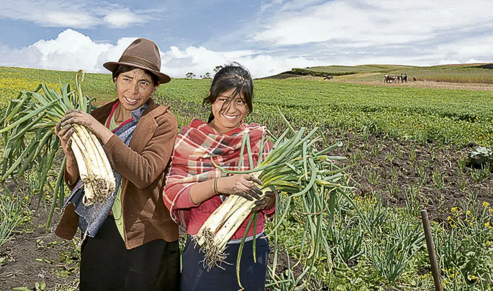 En el campo. Los agricultores requieren de apoyo financiero. Foto: difusión En el campo. Los agricultores requieren de apoyo financiero. Foto: difusión