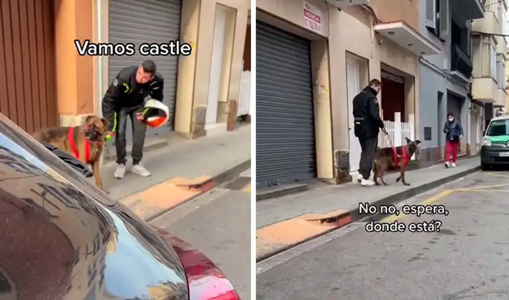 Una joven realizó un singular experimento para conocer el comportamiento de su perro al ver que otra persona lo estaba paseando en la calle. Foto: captura de TikTok