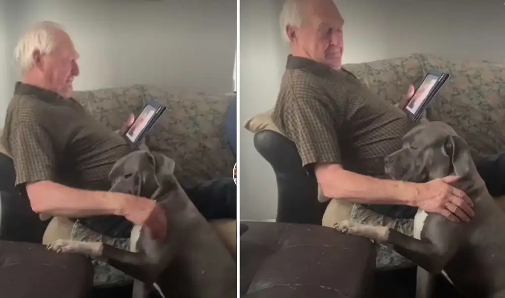 Facebook viral: deja a su perro con su abuelo y al regresar los ...
