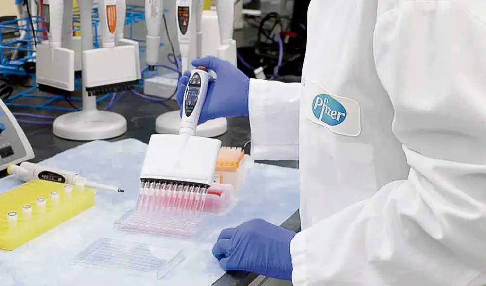 Ya vienen. Vacunas llegarán en lotes desde el próximo mes. Foto: difusión Ya vienen. Vacunas llegarán en lotes desde el próximo mes. Foto: difusión