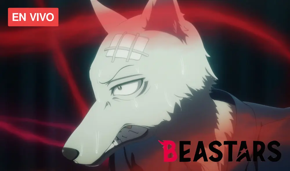 No te pierdas un nuevo episodio de Beastars 2. Foto: Fuji TV