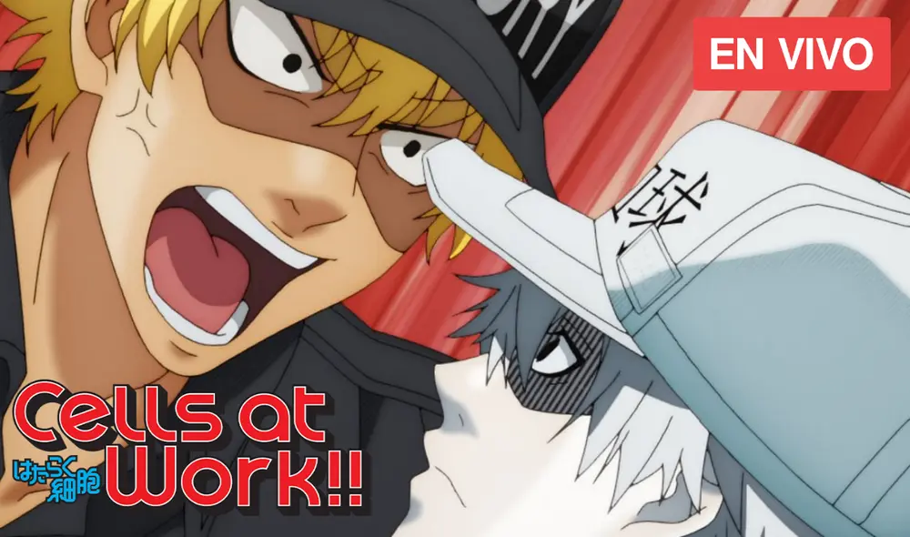 No te pierdas un nuevo capítulo de Hataraku Saibou 2. Foto: Aniplex