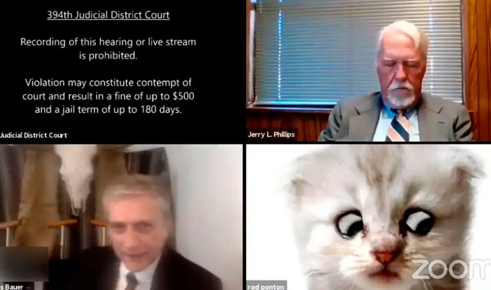 “Siempre quise ser famoso por ser un gran abogado. Ahora soy famoso por presentarme en la corte como un gato”, sostuvo el letrado. Foto: Captura - Infobae