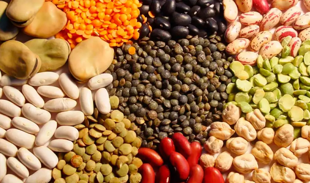 El titular de la cartera, Federico Tenorio, informó que el MIDAGRI ha desarrollado, en los últimos 20 años, más de 30 variedades de leguminosas con alta calidad genética. Foto: Midagri