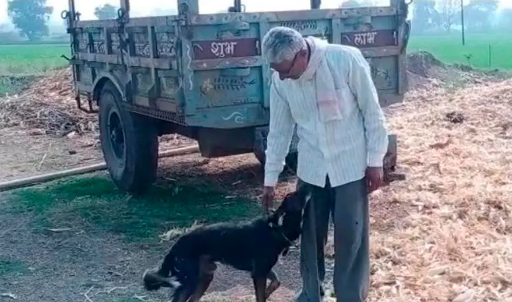 El hombre relató en su testamento el gran amor que siente por su mascota. Foto: New Indian Express El hombre relató en su testamento el gran amor que siente por su mascota. Foto: New Indian Express