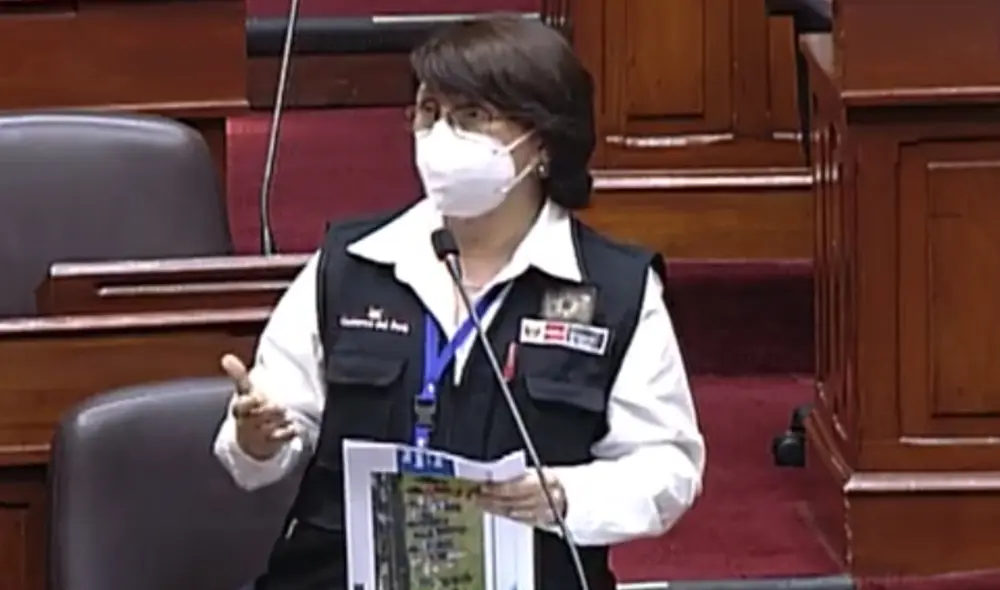 Tajante. La titular del sector Salud también pidió que se investiguen los hechos. Foto: captura Congreso TV Tajante. La titular del sector Salud también pidió que se investiguen los hechos. Foto: captura Congreso TV