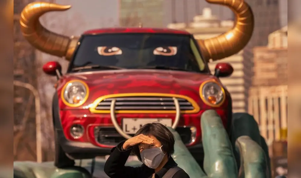 Las personas que son signo buey nacieron en 1901, 1913, 1925, 1937, 1949, 1961, 1973, 1985, 1997, 2009, 2021. Foto: EFE/Alex Plavevski Las personas que son signo buey nacieron en 1901, 1913, 1925, 1937, 1949, 1961, 1973, 1985, 1997, 2009, 2021. Foto: EFE/Alex Plavevski