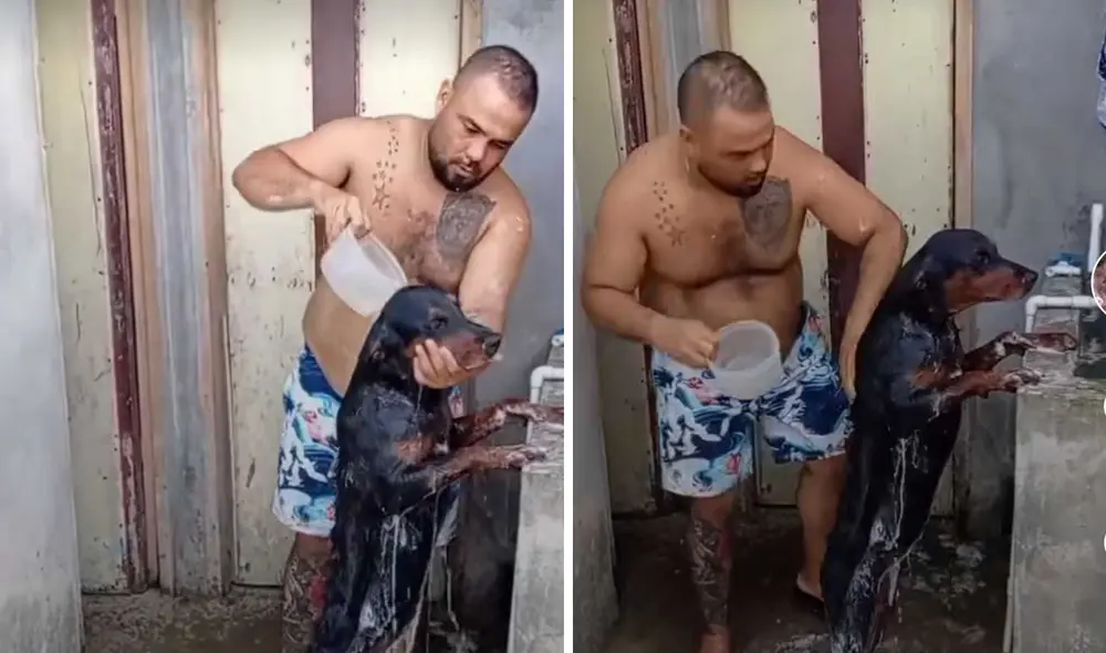 Miles de usuarios quedaron sorprendidos al ver el comportamiento del can. Foto: captura de Facebook.