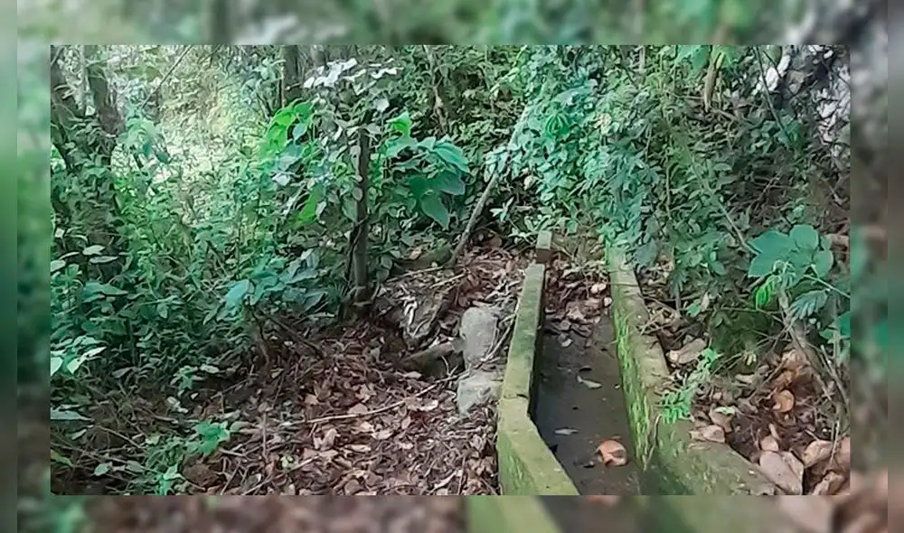 Edificarán más de 11.000 metros lineales de canales de riego en el norte. Foto: Cortesía Gore Piura Edificarán más de 11.000 metros lineales de canales de riego en el norte. Foto: Cortesía Gore Piura