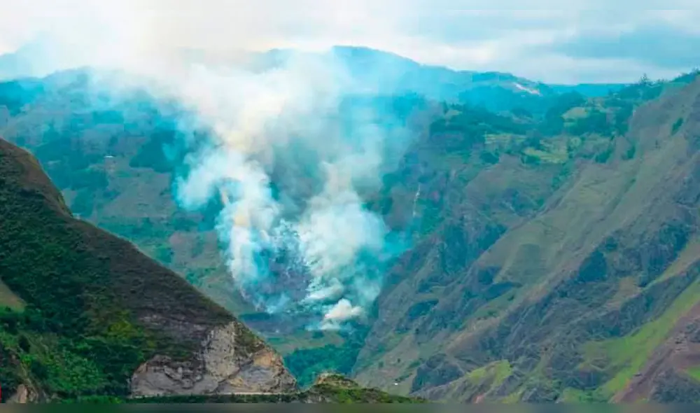 Incendio forestal destruyó bosque de pinos en Chalamarca. Foto: Telesystem Noticias.