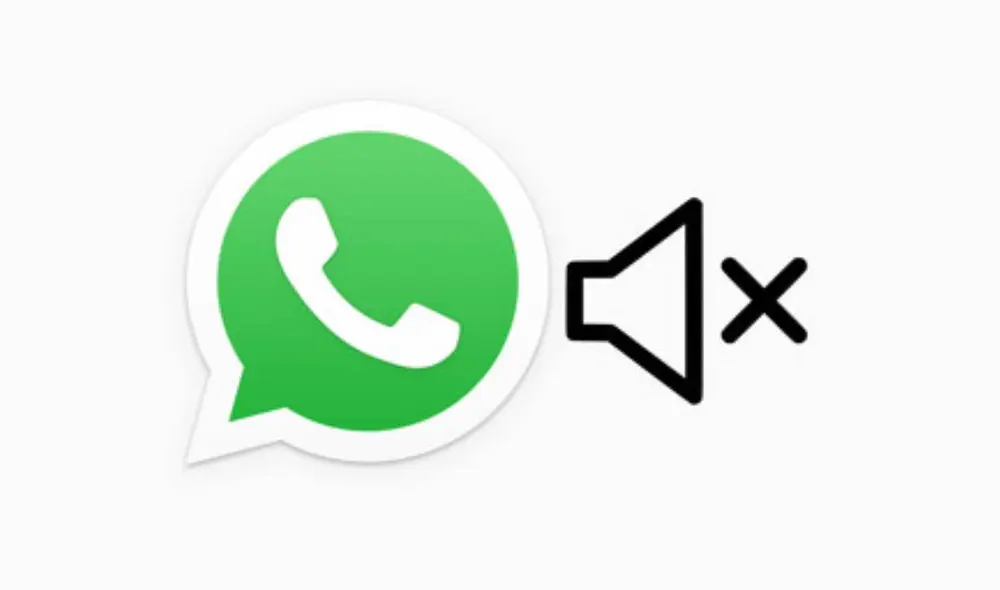 Muchos videos no necesitan audio para ser entendidos y en ocasiones la bulla de fondo puede distraer. ¿Sabías que ya puedes silenciarlos en WhatsApp? Foto: Xataka Android