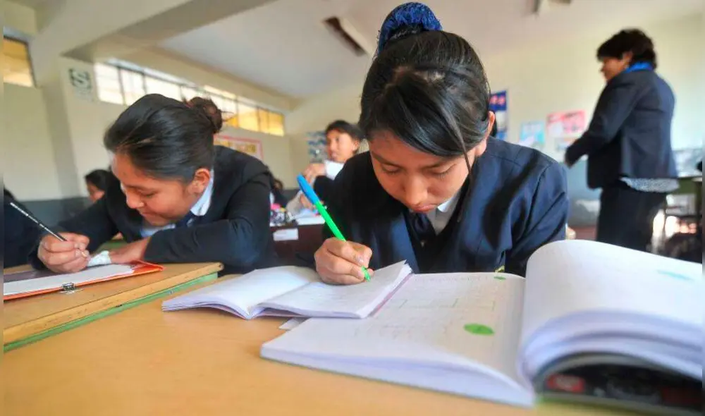 Consejera afirmó que autoridades tienen la responsabilidad de otorgar las mejores condiciones para que escolares estudien. Foto: referencial/Andina.