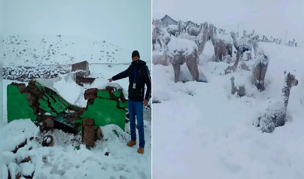 Nevada empezó durante la noche del miércoles 17. Foto: COER Puno