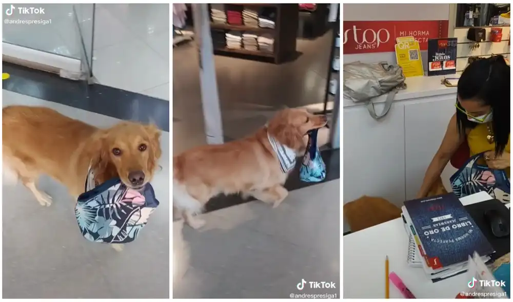 Millones de usuarios han visto el video protagonizado por Kira. Foto: captura de TikTok (@andrespresiga1)