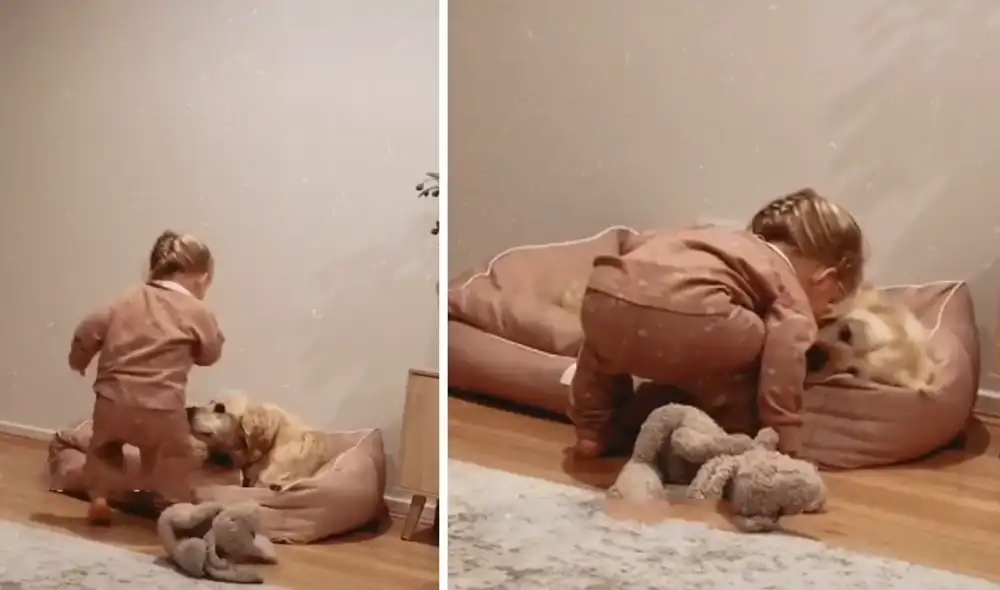 La pequeña y el cachorro se han convertido en compañeros inseparables. Foto: captura de TikTok