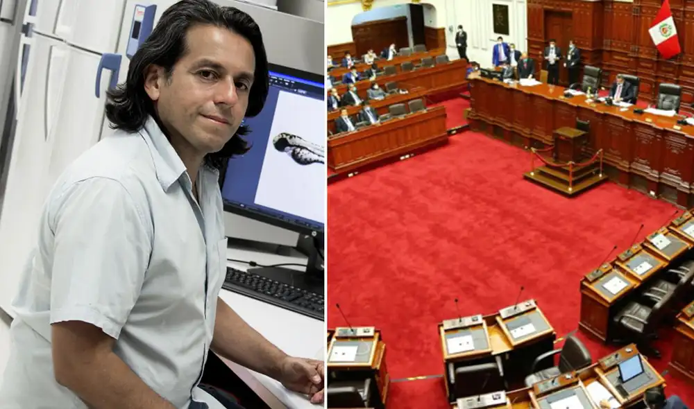 Investigador Edward Málaga aclara que moción que se debate en Pleno del Congreso no funciona. Foto: composición/La República